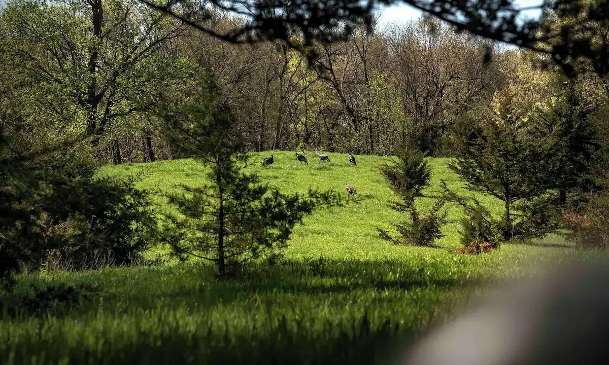 Photo of Others in Madison County