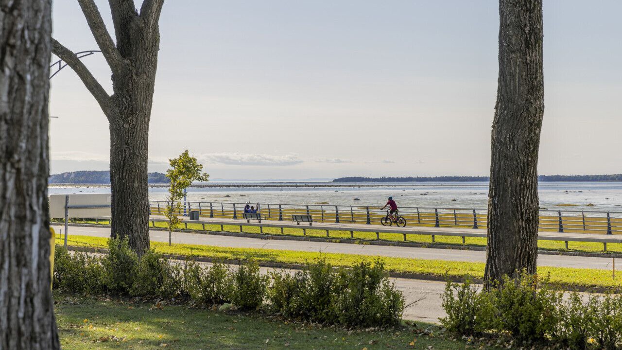 Photo of Others in Rimouski