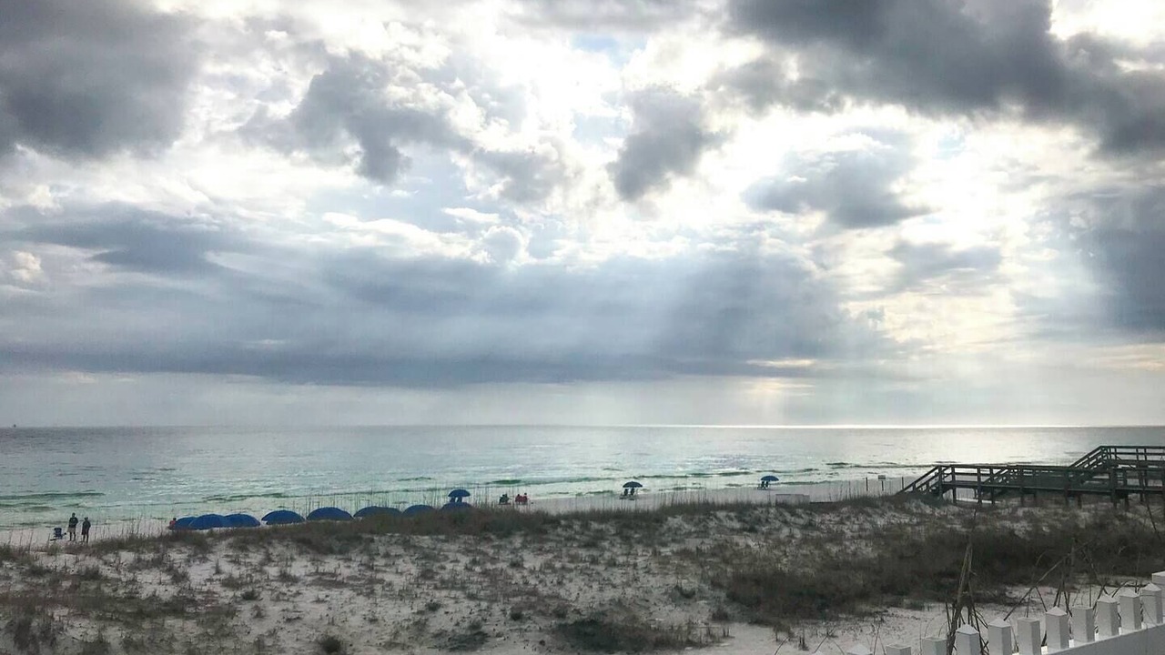 Photo of Others in Scenic Gulf Drive