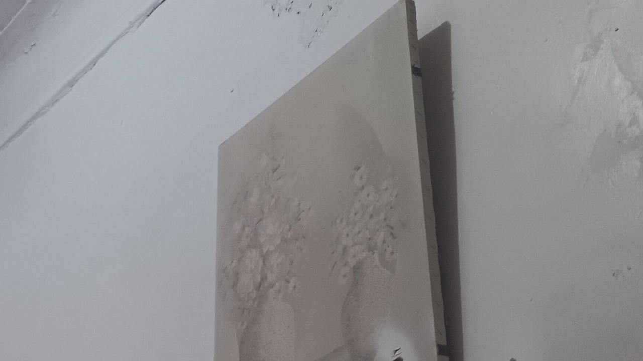 Photo of Others in Tremont