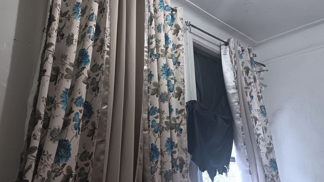 Photo of Others in Tremont