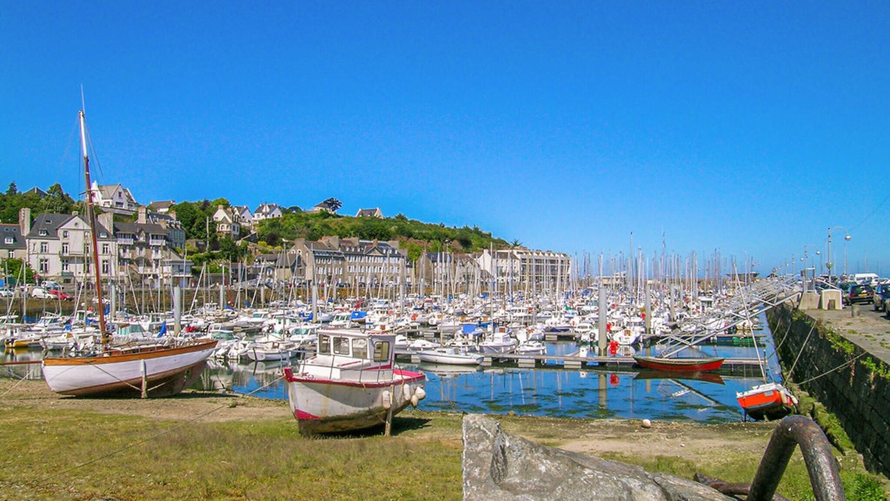 Photo of Others in Plesidy