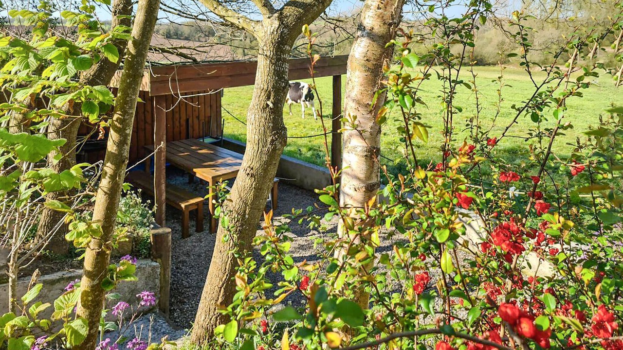 Photo of Others in Plesidy