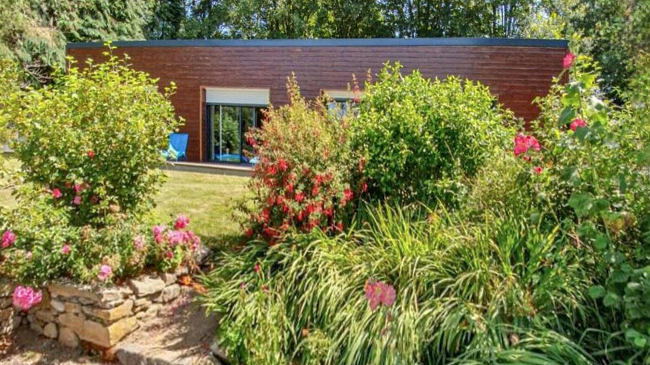 Photo of Others in Plesidy