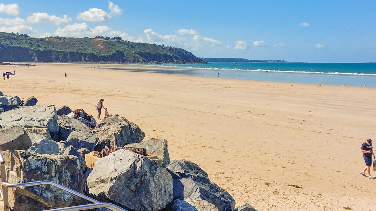 Photo of Others in Plesidy