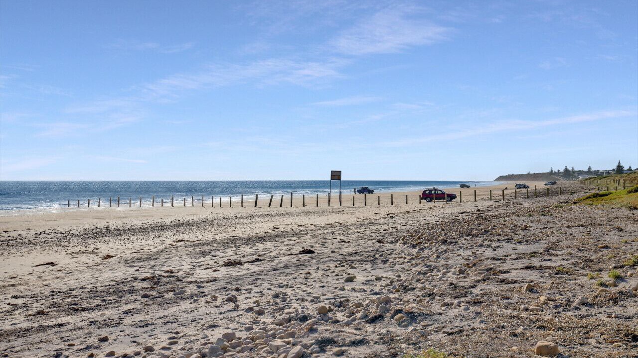 Photo of Others in Moana