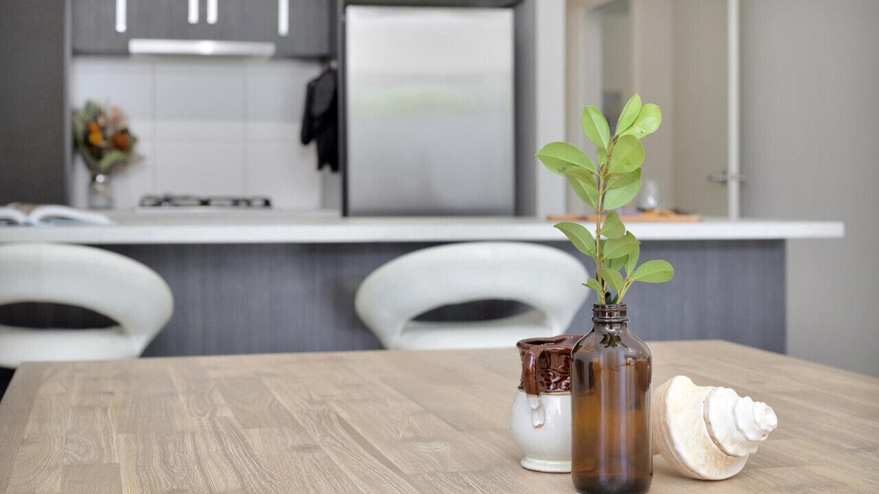 Photo of Others in Moana