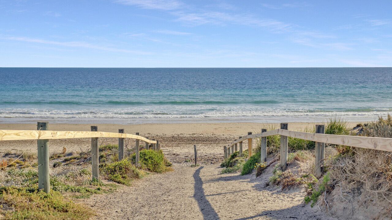 Photo of Others in Moana