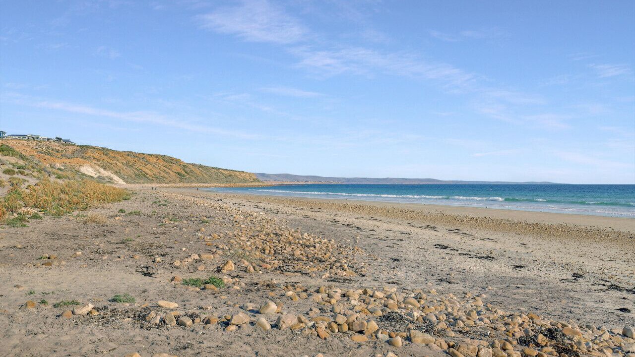 Photo of Others in Moana