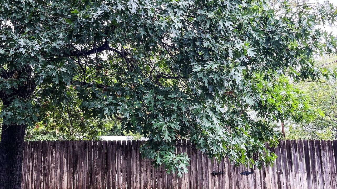 Photo of Outdoor in Abilene