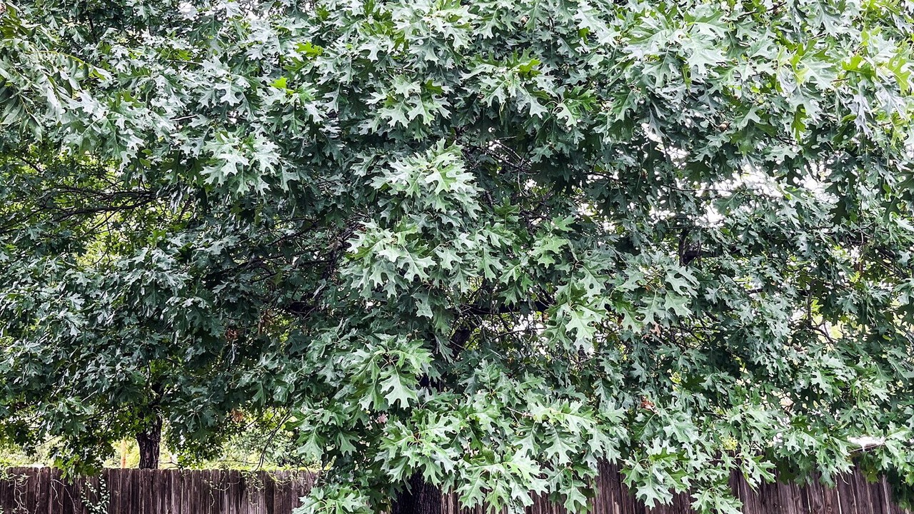 Photo of Outdoor in Abilene