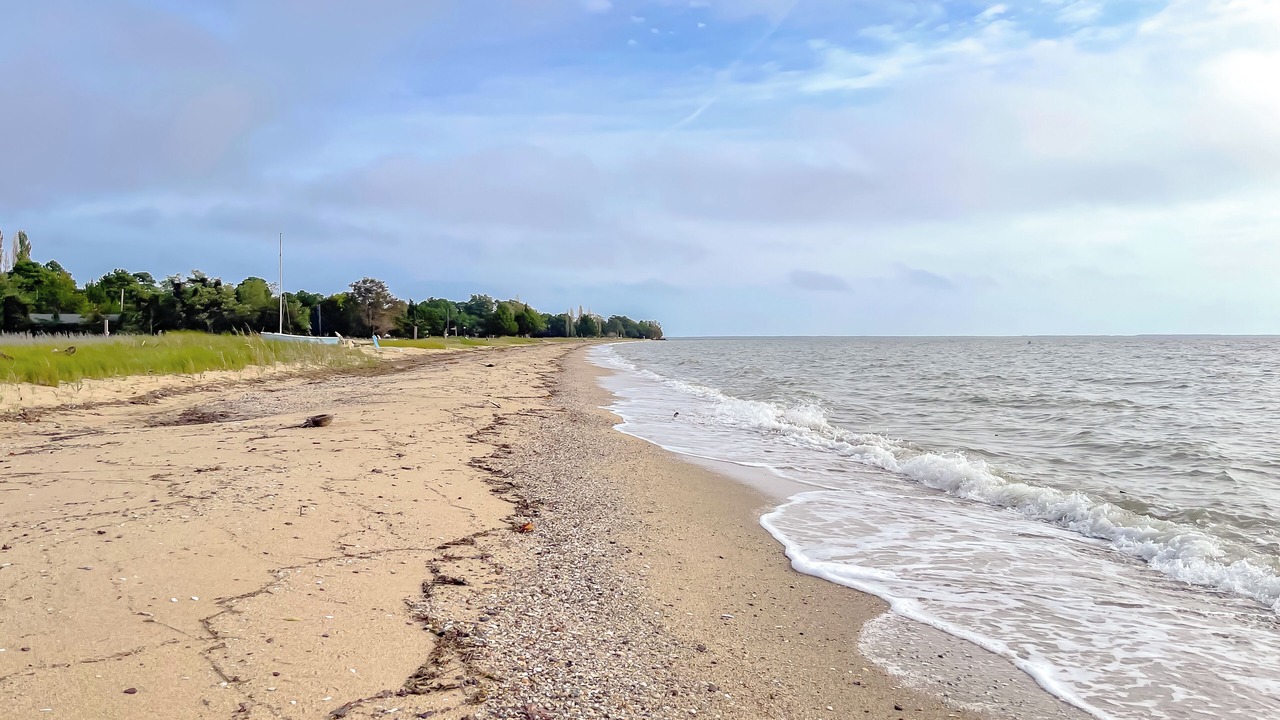 Photo of Others in Lusby