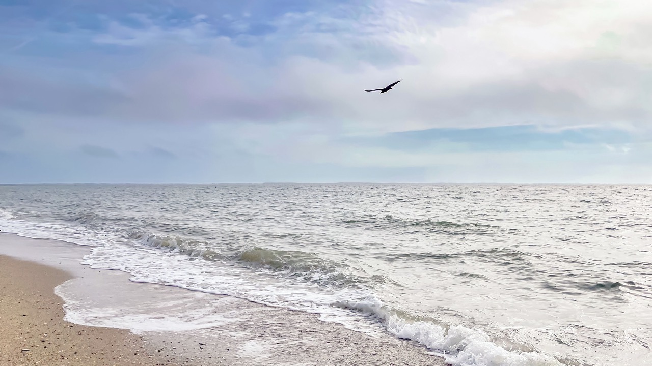 Photo of Others in Lusby