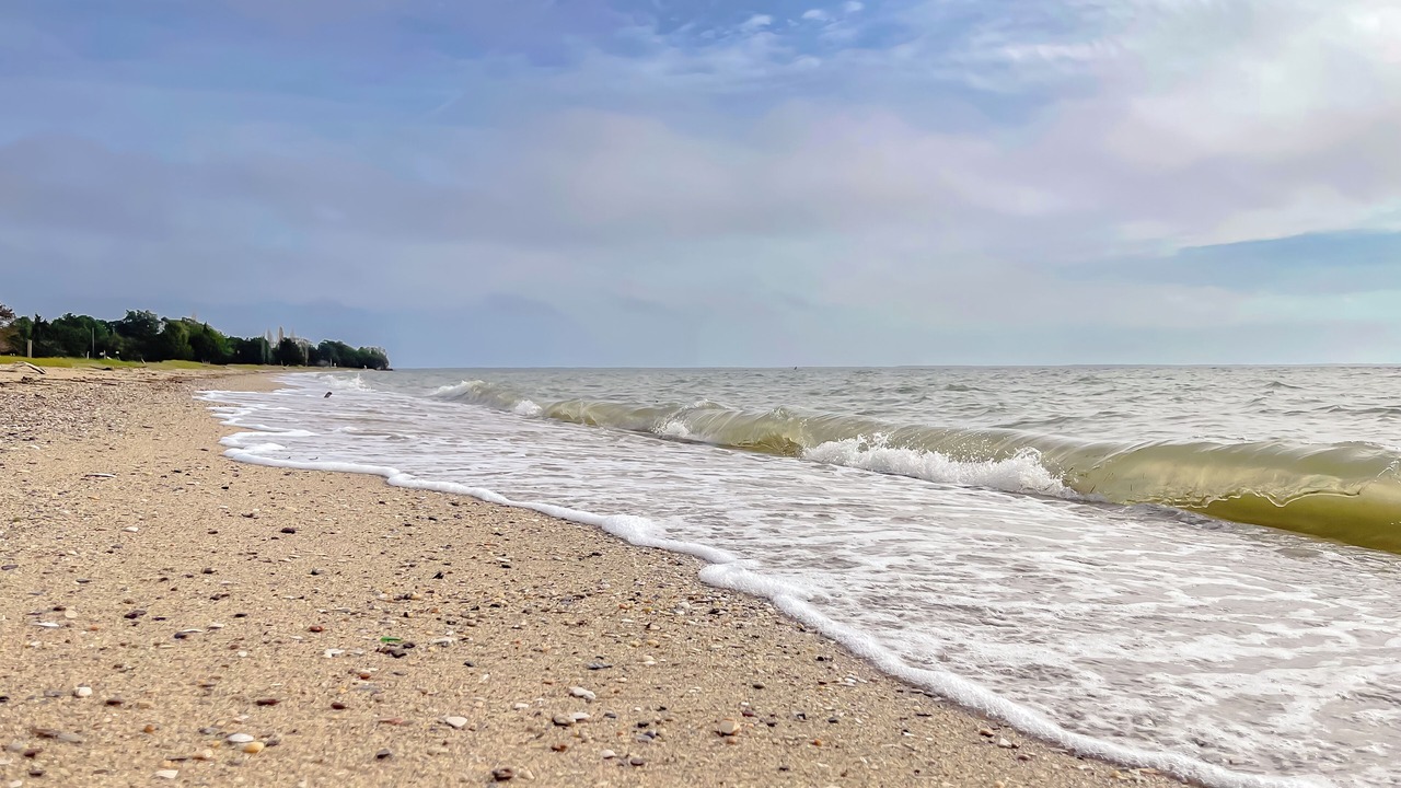 Photo of Others in Lusby