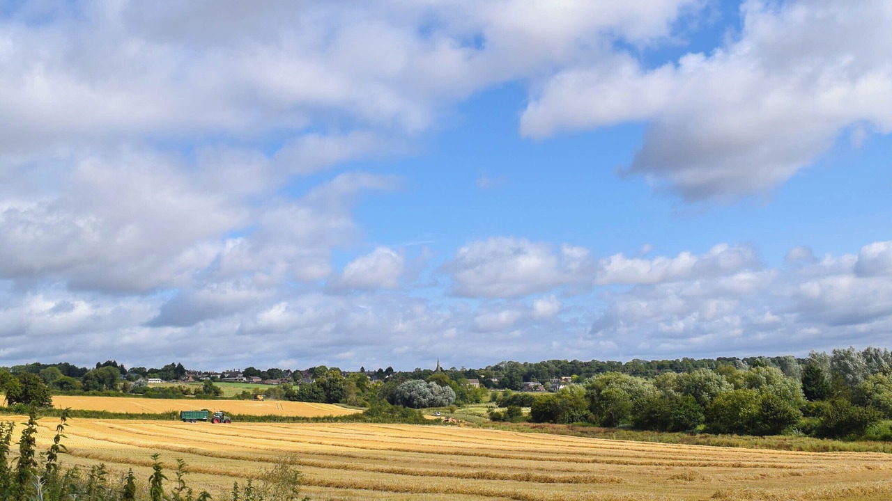 Photo of Others in Twywell