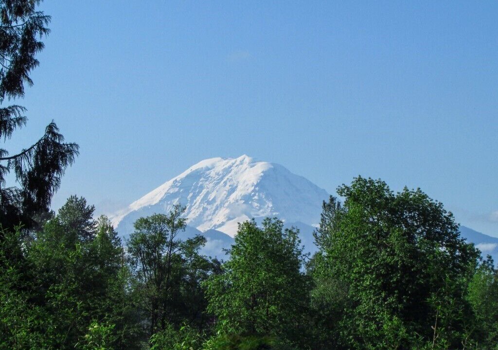Photo of Others in Tacoma