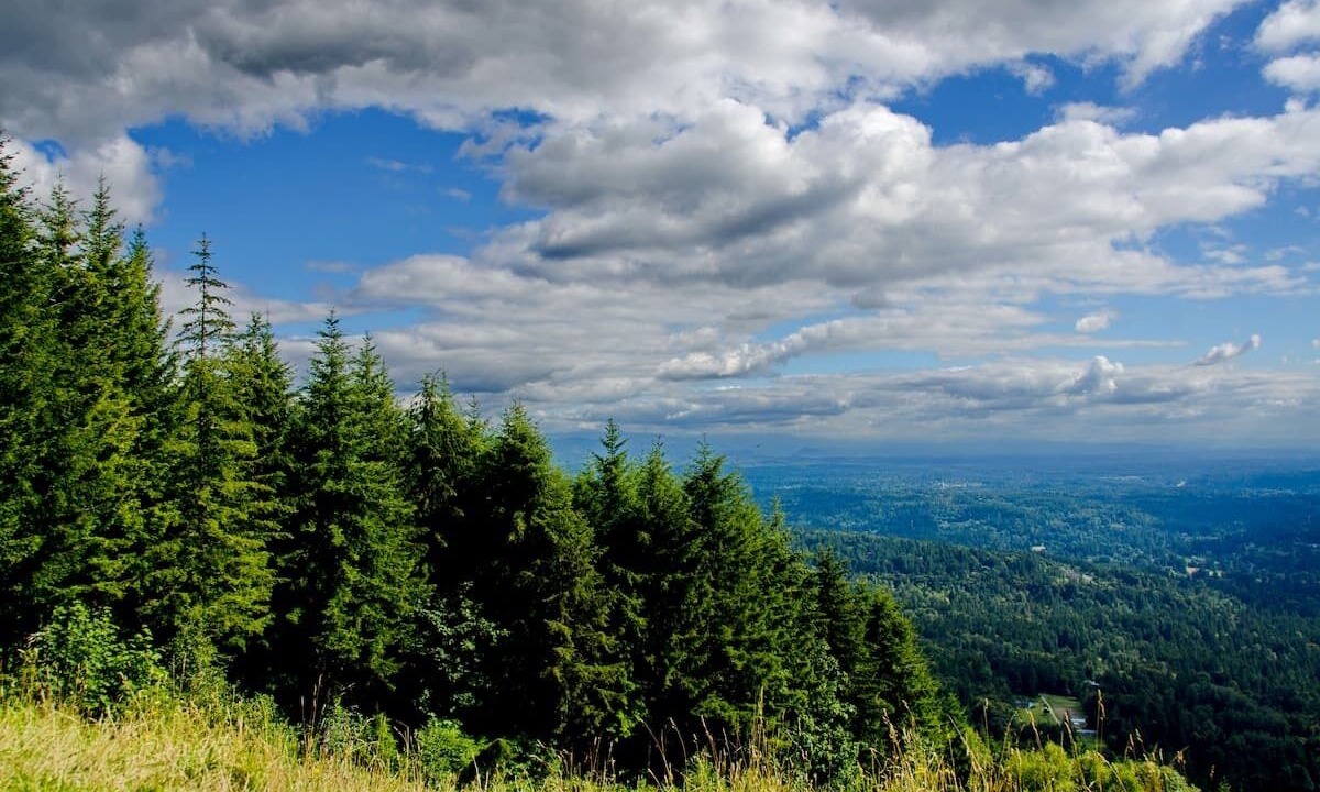 Photo of Others in Tacoma