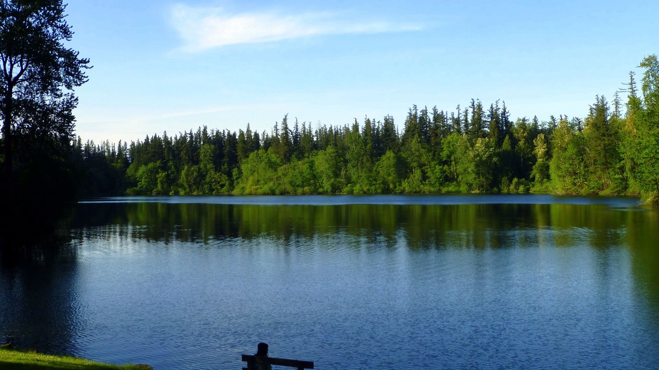 Photo of Others in Tacoma