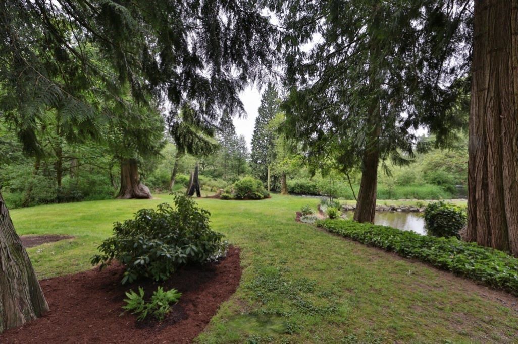 Photo of Outdoor in Tacoma