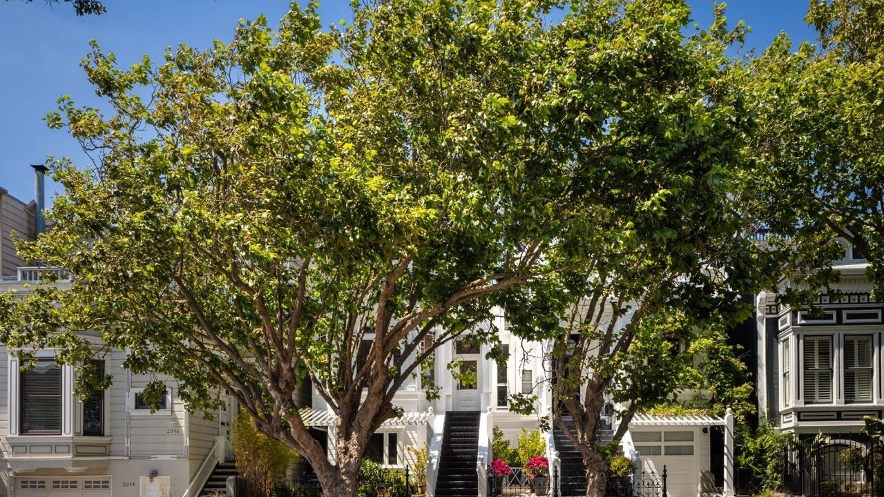 Photo of Outdoor in North of the Panhandle