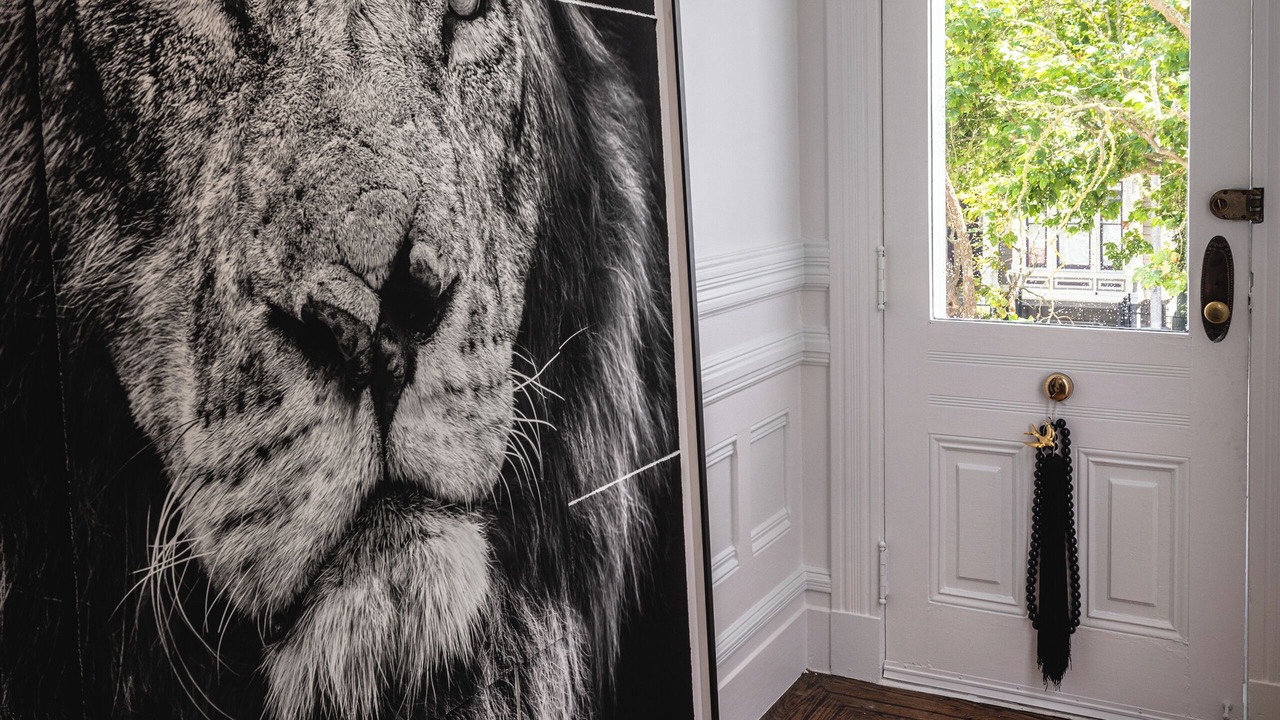 Photo of Others in North of the Panhandle