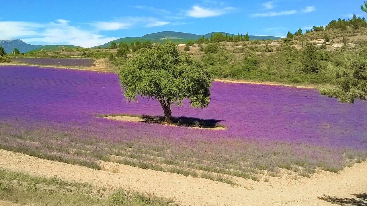 Photo of Others in Merindol