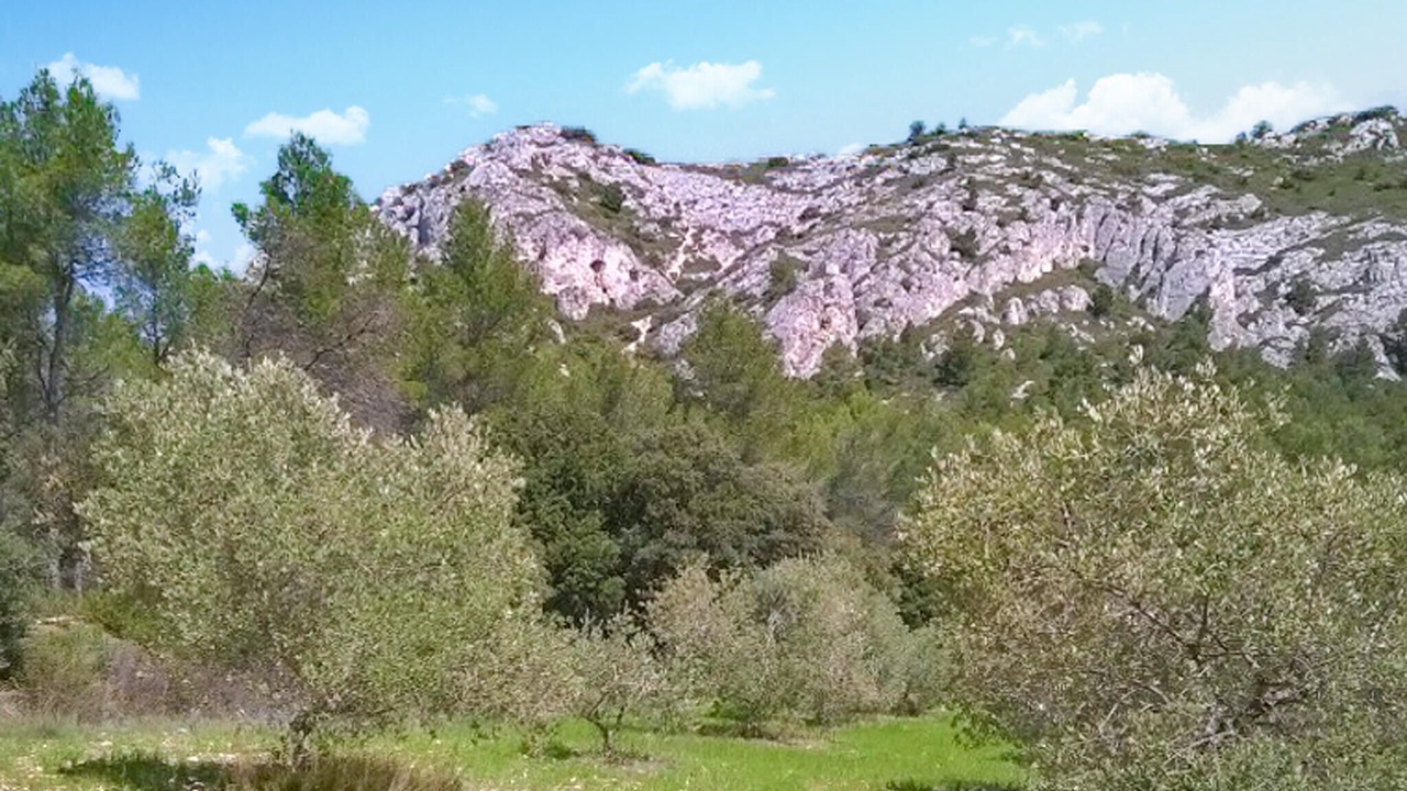 Photo of Others in Merindol