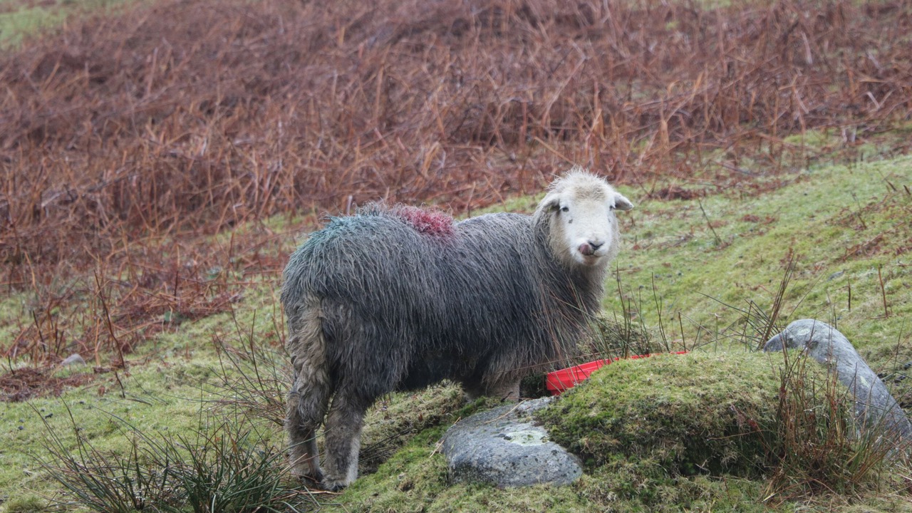 Photo of Others in Gosforth