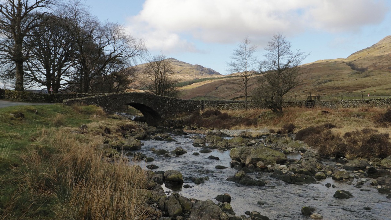 Photo of Others in Gosforth