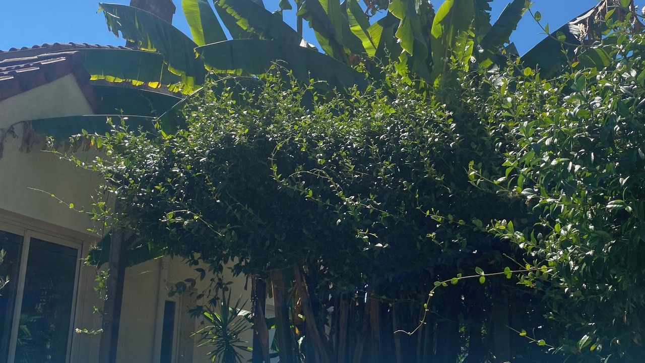 Photo of Outdoor in Lormont