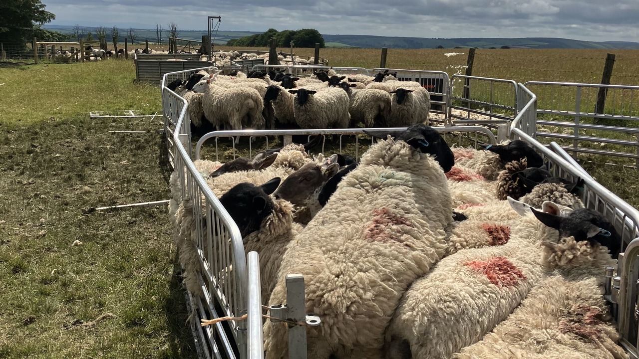 Photo of Others in Watchet