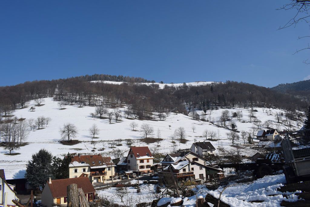 Photo of Others in Sondernach