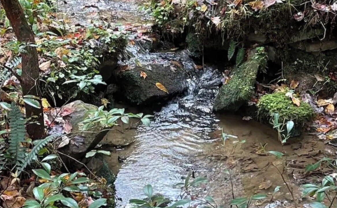 Photo of Others in Morganton