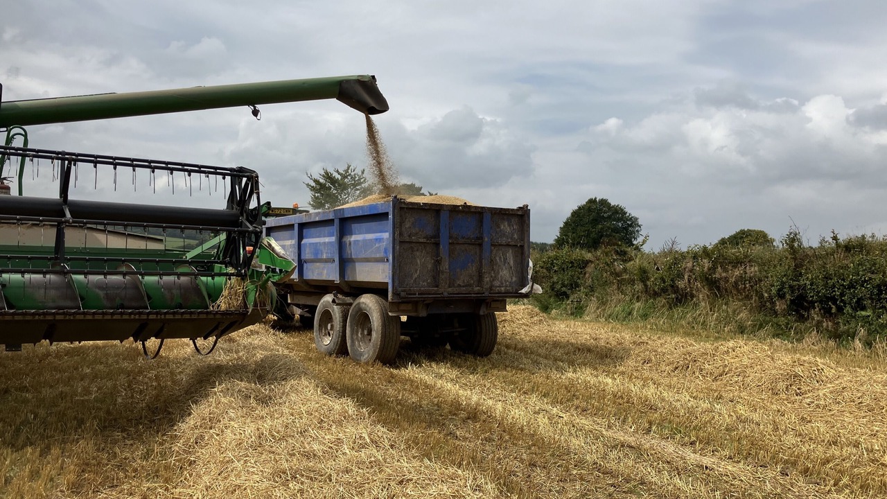 Photo of Others in Watchet