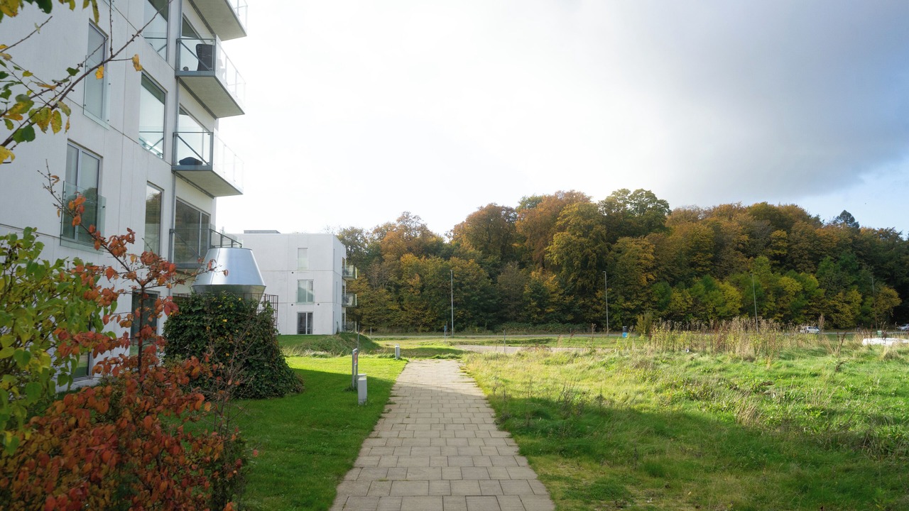 Photo of Outdoor in Odense
