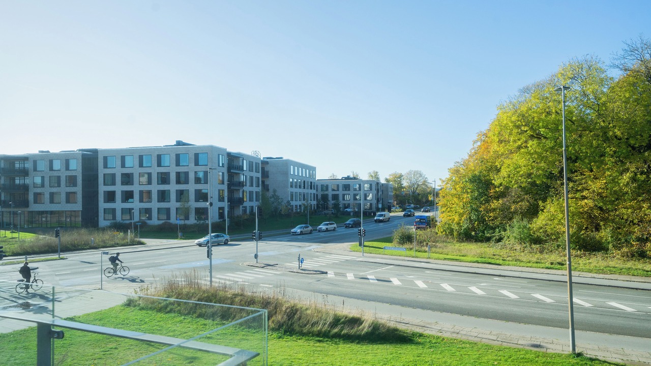 Photo of Others in Odense