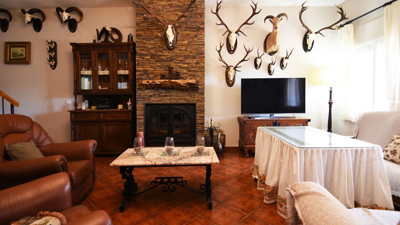 Photo of Livingroom in Cordoba