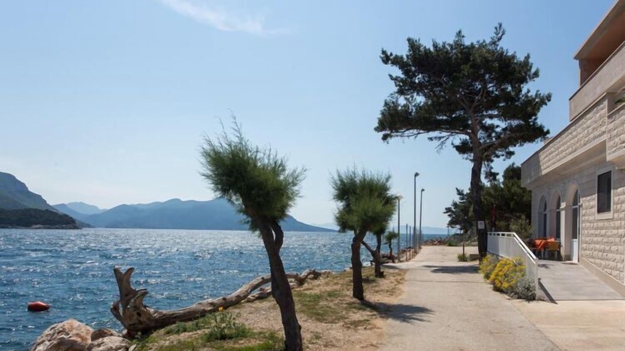 Photo of Outdoor in Trstenik