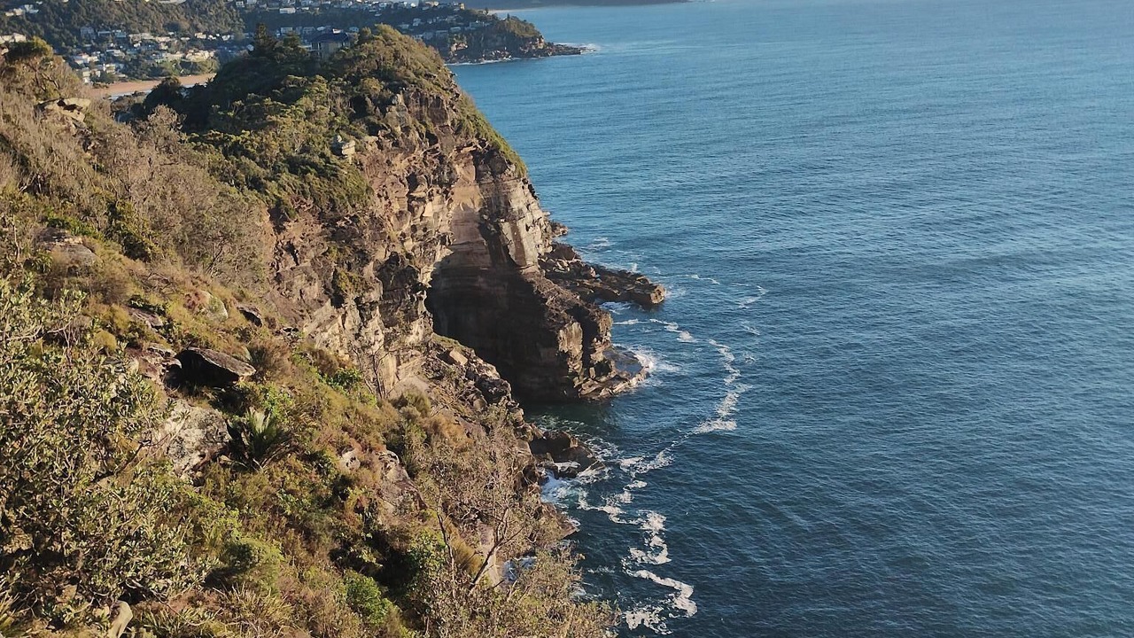 Photo of Others in Avalon Beach