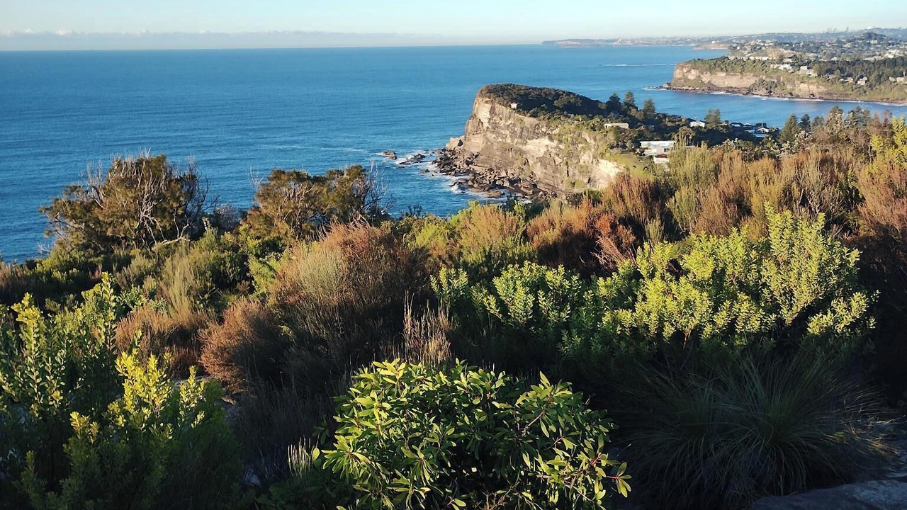 Photo of Others in Avalon Beach