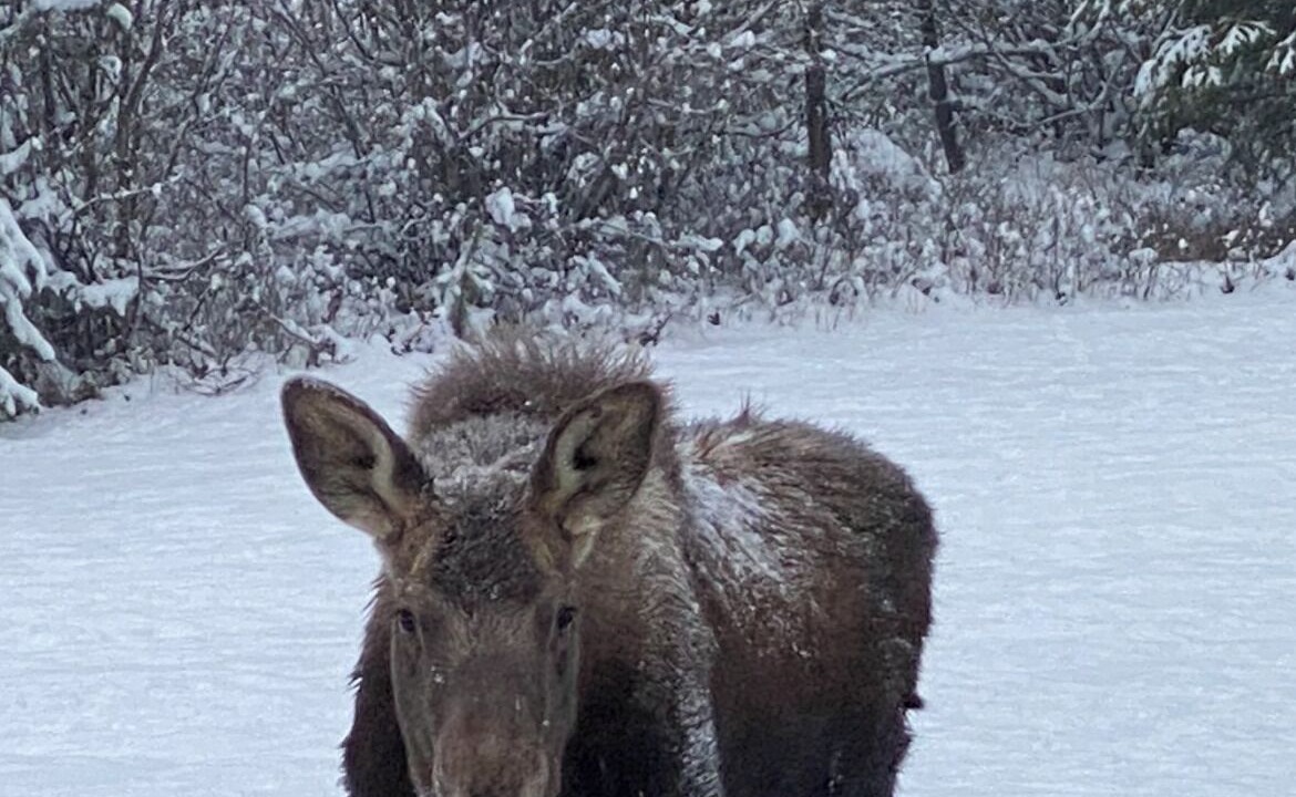 Photo of Others in Kootenai County
