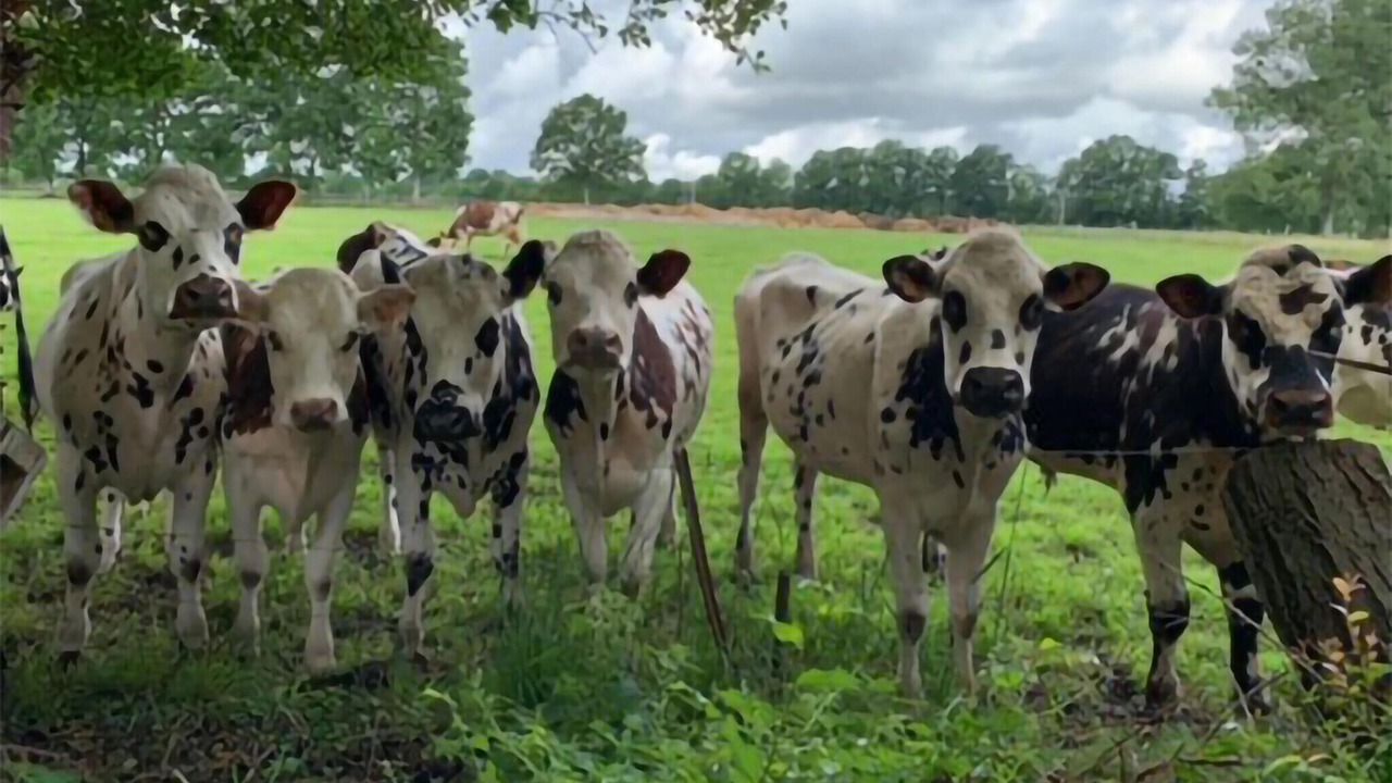 Photo of Others in Epaignes