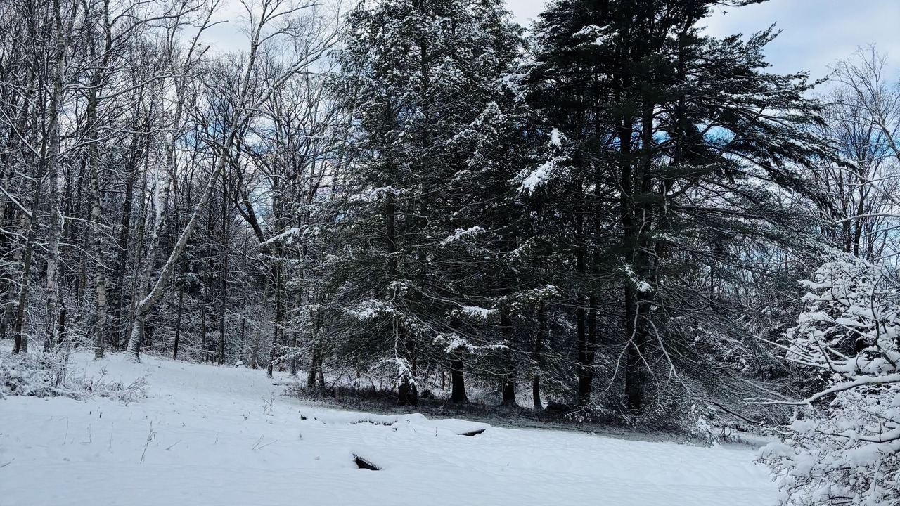 Photo of Others in West Stockbridge