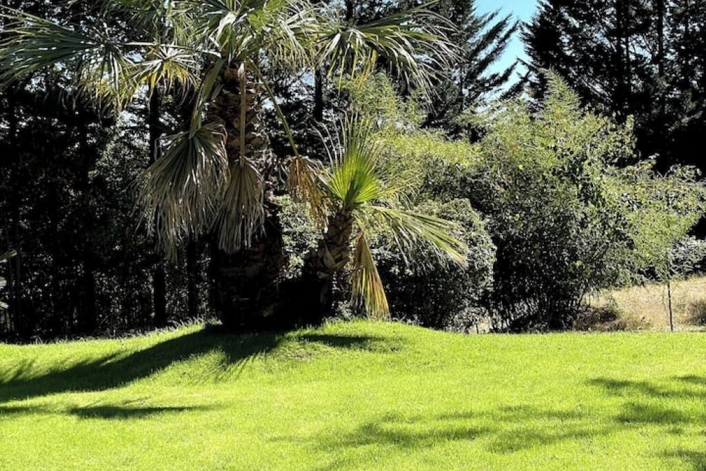 Photo of Outdoor in Lesperon