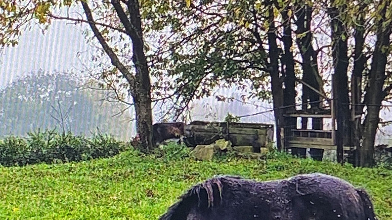 Photo of Others in Villers-Pol