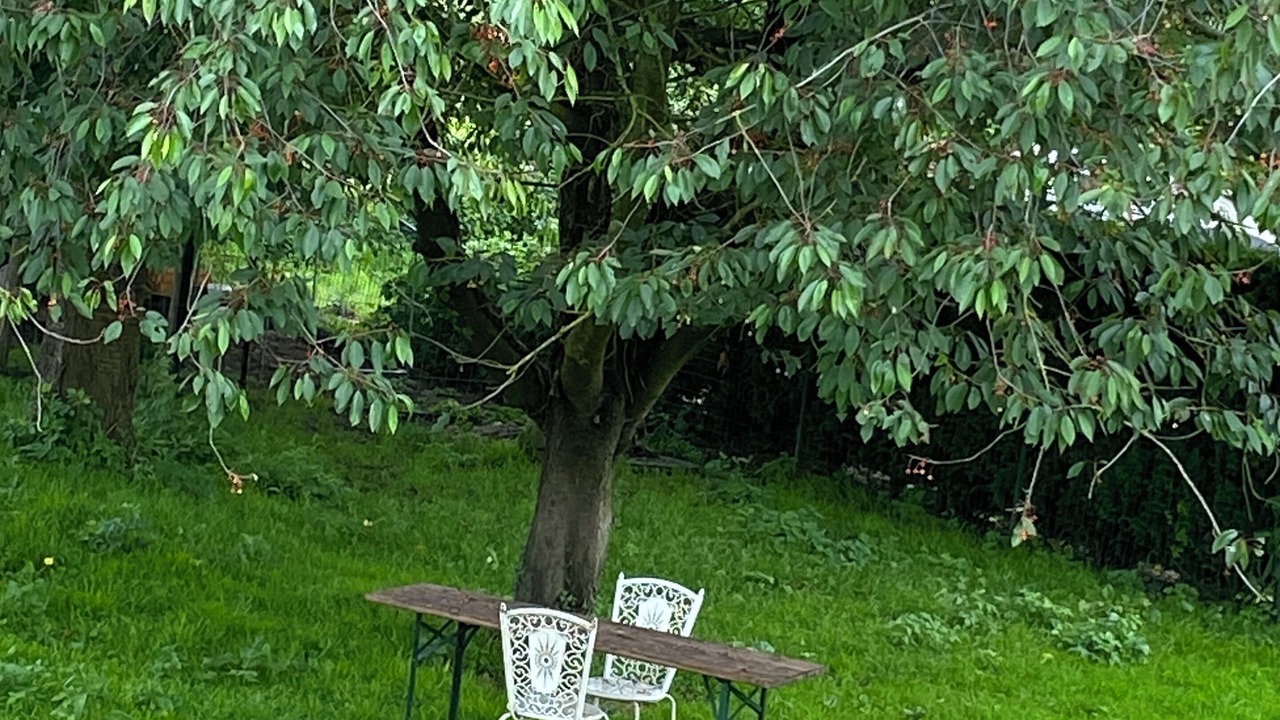 Photo of Outdoor in Villers-Pol