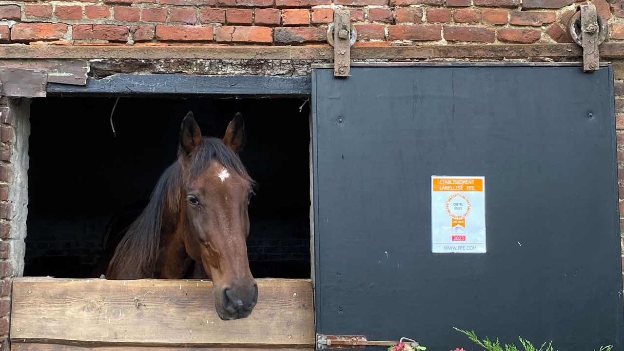 Photo of Others in Villers-Pol