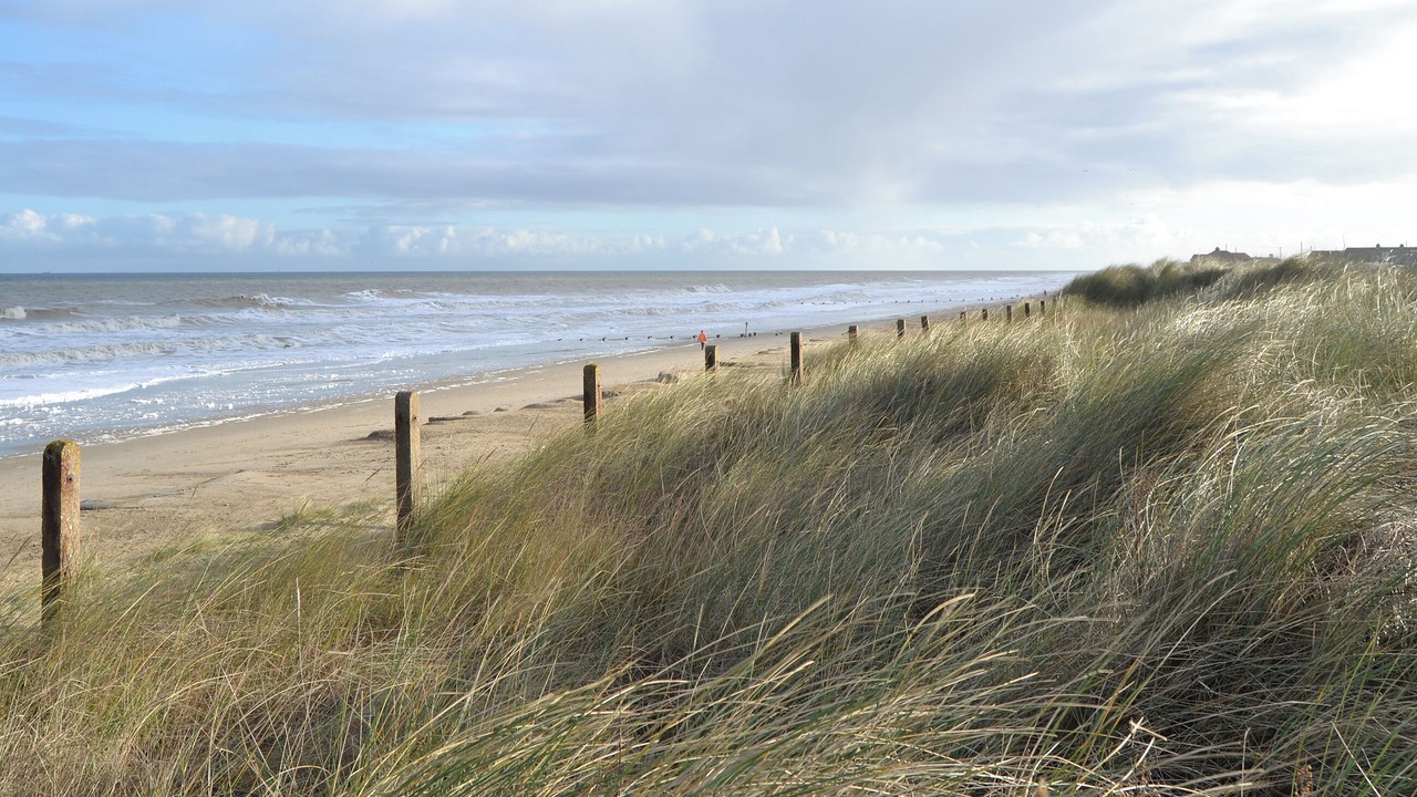 Photo of Others in Horning