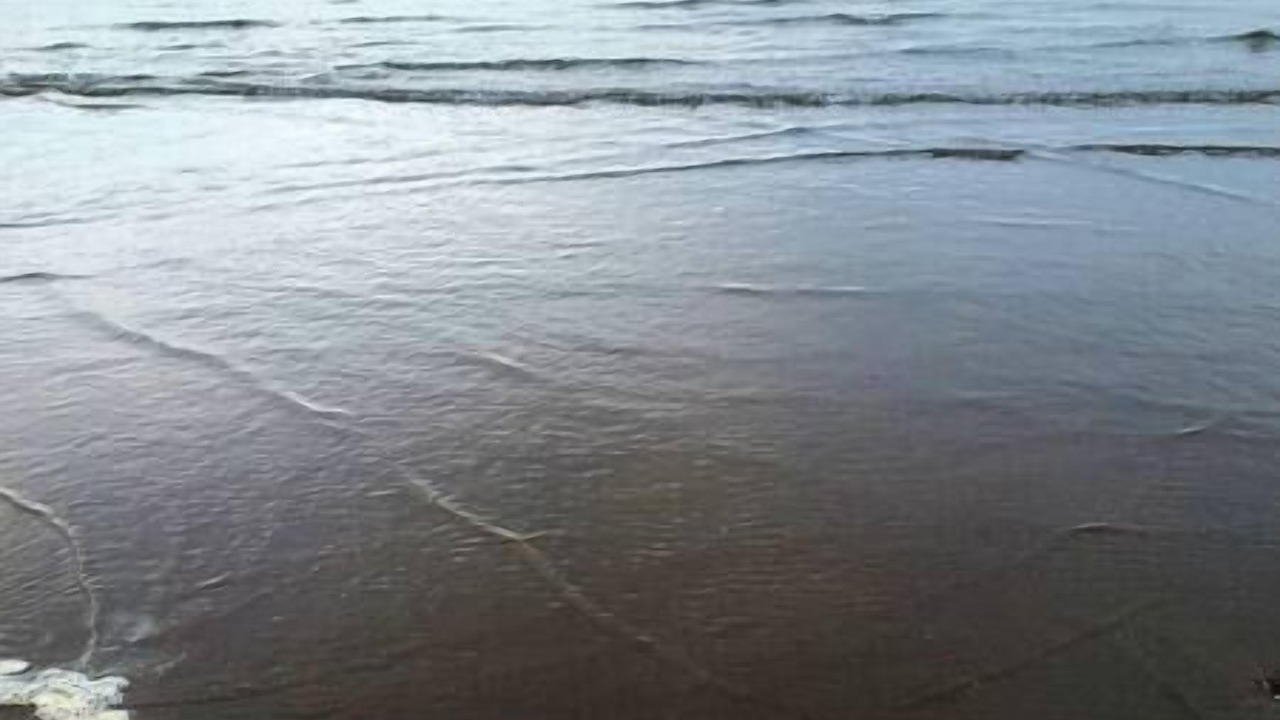 Photo of Others in Waldport