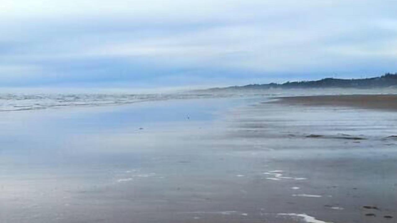 Photo of Others in Waldport